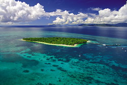 Зеленый остров